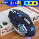 PulseRGB Mouse